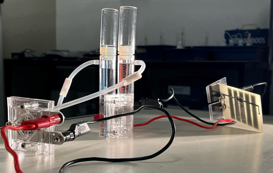 gtc_studenten_wat-kan-je-worden2